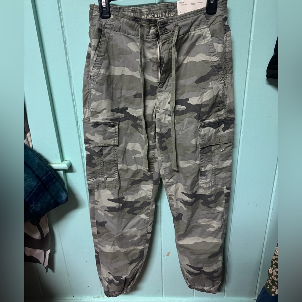 American Eagle Outfitters Green and Gray Cargo Pants